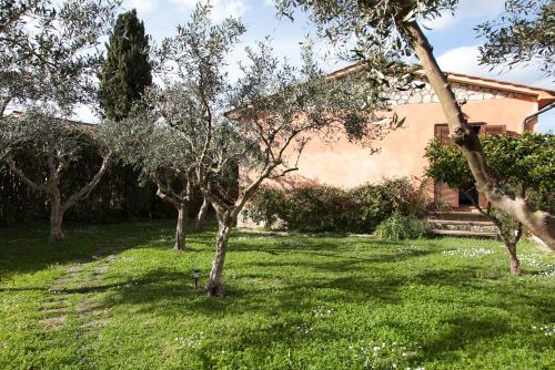 Wonderful villa with swimming pool near the sea.