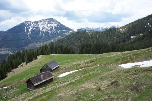 A környék, Moderne Ferienwohnung nahe Skigebiet! in Veitsch