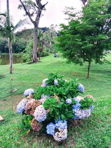 Casas de Campo Beija-Flor & Bem-Te-Vi, Mata Atlântica, Juquitiba, SP