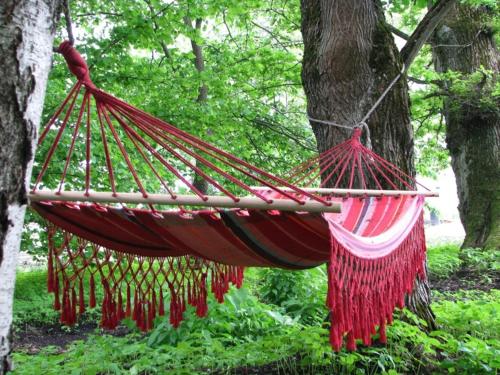 Torma Puhkemaja ja Glämping Torma Puhkemaja ja Glämping