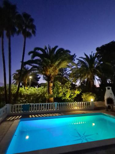 private Villa mit eigenem Pool unter Palmen