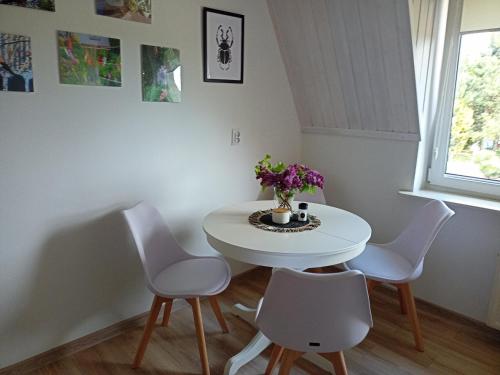 Konyha, Świętokrzyska Sielanka (Swietokrzyska Sielanka) in Przyjmo