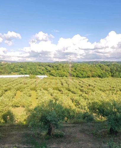 VILLA in 8 ettari di campagna, a 20' dal mare