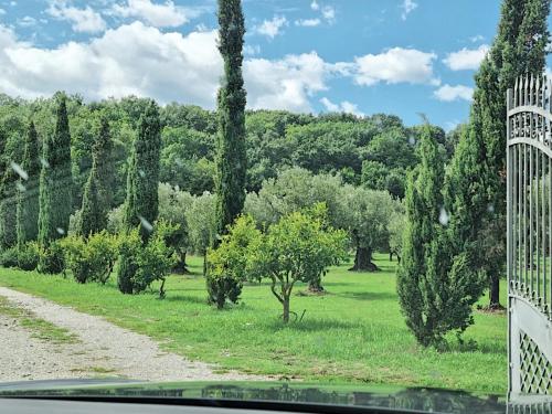 VILLA in 8 ettari di campagna, a 20' dal mare