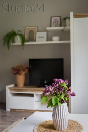 Apartament Studio 24