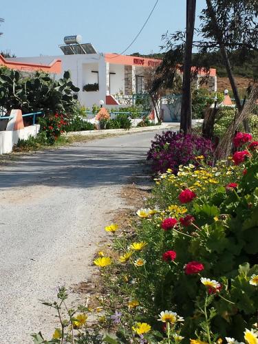 Nikos Studios - image 7