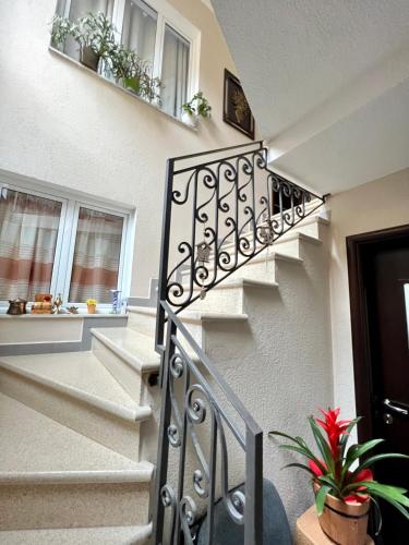 Vila Nikolla in Pogradec