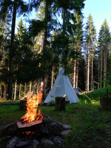 Surrounding environment, Dame vam pokoj - 4 pokoje se sdilenou kuchyni, kapacita max 9 osob in Harrachov