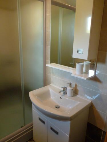 One-Bedroom Apartment image 7