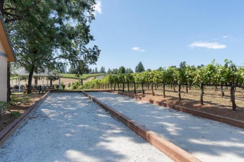 Vineyard Views 2BR House in Placerville, California