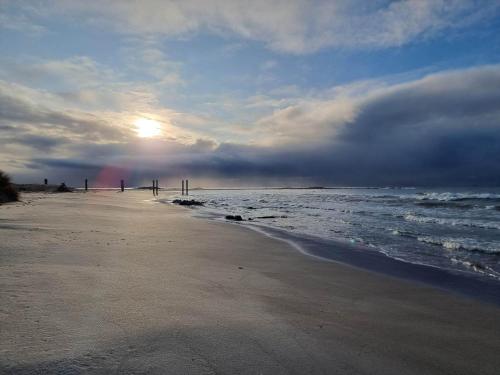 *New* Pip's Place at Lisdillon Vineyard