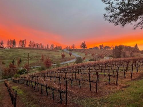 Vineyard Views 2BR House in Placerville, California