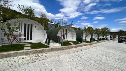 . Casutele verzi din Ocnele Mari