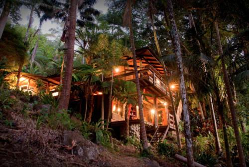 Currumbin Rainforest Treehouse Gold Coast