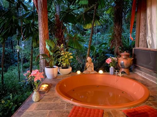 Zuhanyzó, Currumbin Rainforest Treehouse in Currumbin Völgy