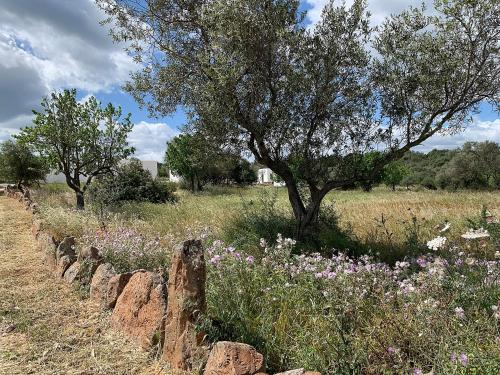 Agriturismo La Croisette