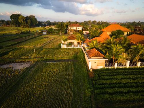 Rice field view Villa, Pool & Kitchen, 2 bedroom