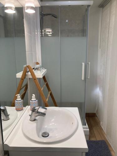 Bathroom, SUITE AVEC TERRASSE ET JARDIN AUX PORTES DE PARIS in Les Pavillons-sous-Bois