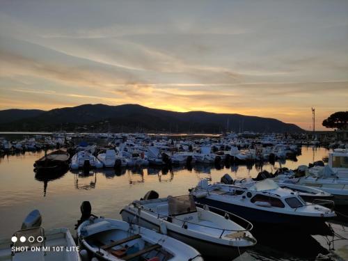 Hotel La Barcarola – Campo nell'Elba, SD