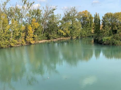 La maison des Eucalyptus - Piscine, jacuzzis et lac