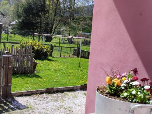 Štempel Karol , Bělá pod Pradědem, Domašov 412, Jeseník (fotografie 8)