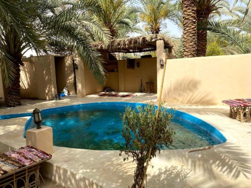 Restaurant, Forest Camp Siwa - كامب الغابة in Siwa