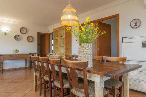 Can Pilos - image 2