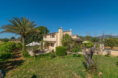 Can Pilos - image 6