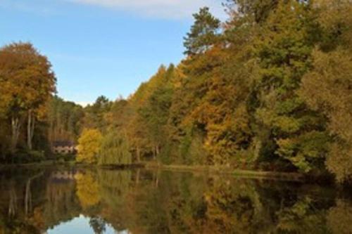 Cosy cottage near Alton Towers