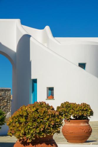 Horizon Hotel - image 7