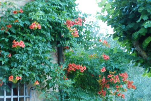 Il Rondò Boutique Hotel – Montepulciano, WI