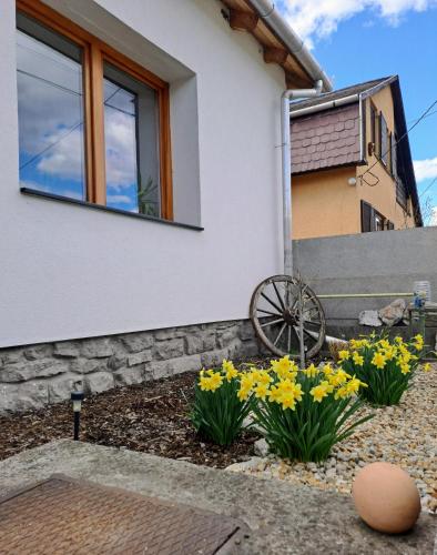 No°21 Apartman in Szilvasvarad