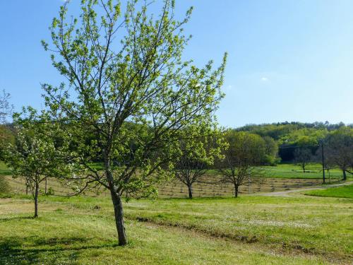 Le bonheur dans notre pré 25 p