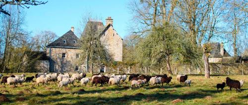 La Ferme du domaine de la Cour