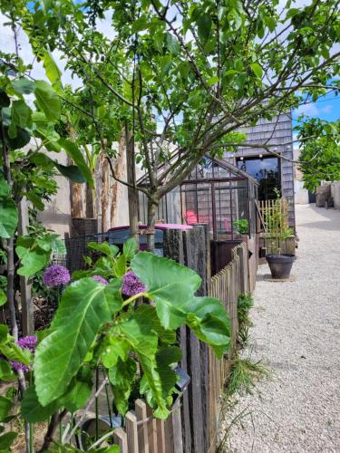 TINY HOUSE Cosy 1 - Angers Green Lodge