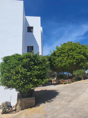 Apartamentos Mar Bella - image 12