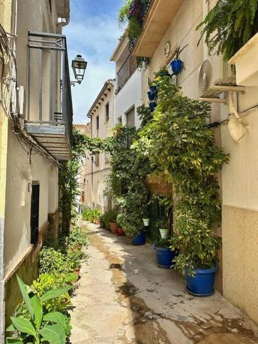 Authentic spanish village house