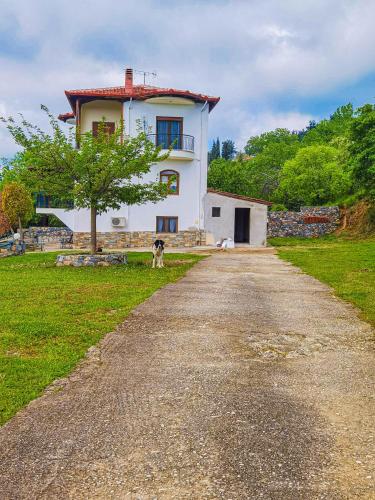 Villa Etheras - Nested between Nature by Amazing View - 5 mins from Edessa, Édessa (foto 6)