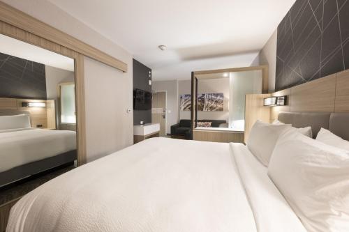 SpringHill Suites by Marriott Colorado Springs Downtown - image 3