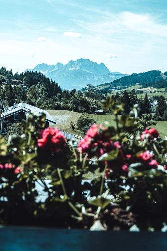 Hotel Chalets Grosslehen - main image