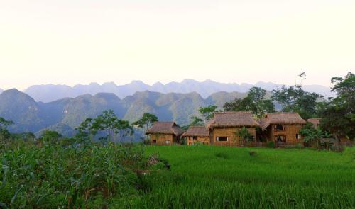 Pu Luong Jungle Lodge