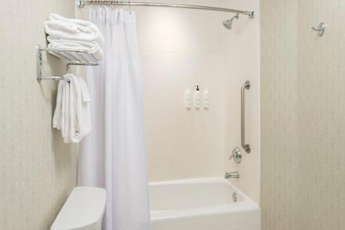 SpringHill Suites by Marriott Lafayette South at River Ranch - image 6
