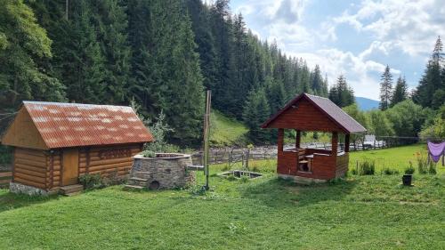 Крайня Хата, Синевирская Поляна (фото 10)