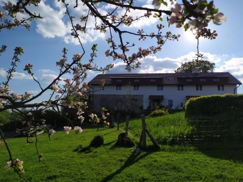 Ekofarma Bílý mrak - Hotel - Borohrádek