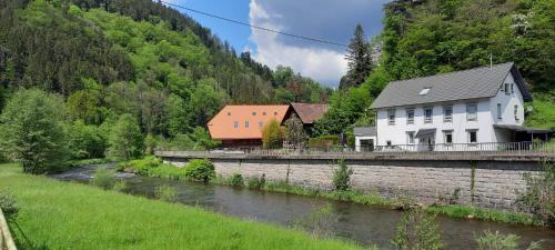 Ferienwohnung Moritz im Schwarzwald