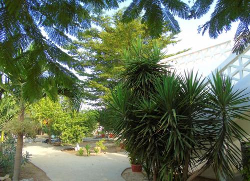 WouroBa in Mbodiene