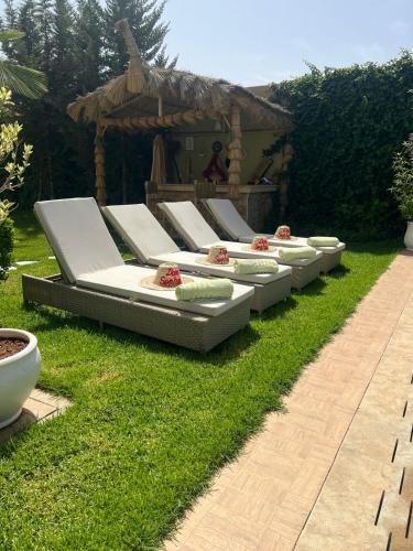 Dar sophia Dar sophia