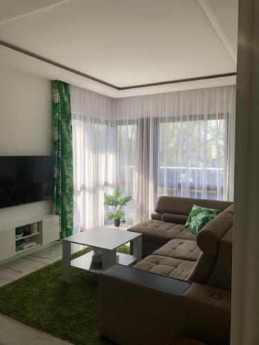 Solankowe Zacisze Botanica Inowrocław Solankowe Zacisze Botanica Inowrocław