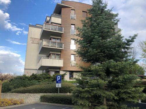 Solankowe Zacisze Botanica Inowrocław Solankowe Zacisze Botanica Inowrocław