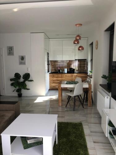 Solankowe Zacisze Botanica Inowrocław Solankowe Zacisze Botanica Inowrocław